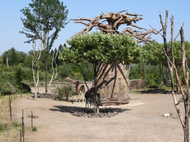 Zoo Zürich