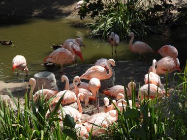 Zoo Zürich